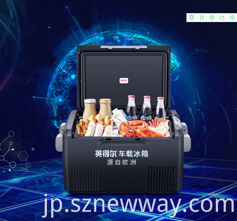Indelb Portable Mini Car Refrigerator
